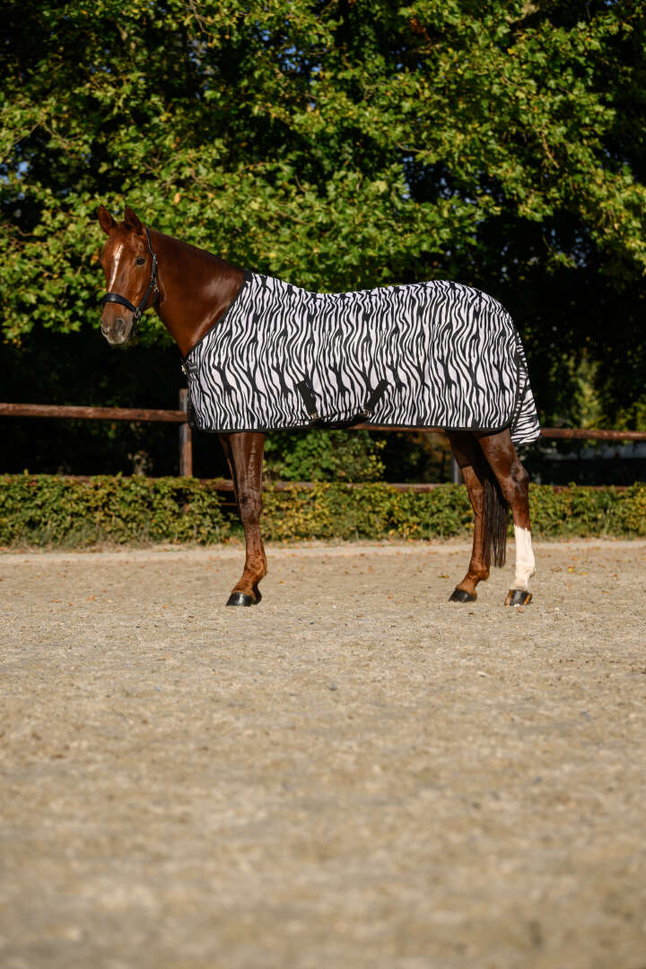 KANTRIE Fliegendecke Zebra Plus